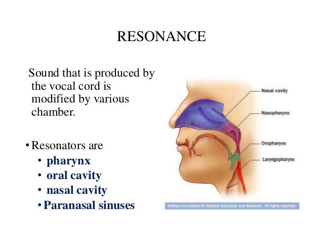 Various Neurologic Reconstruct Various Neurologic Reconstruct