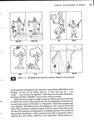 SEMANTICS: THE DEVELOPMENT OF MEANING
stroke patients with aphasia who often have tremendous difficulty in word
finding. As one of our clients told us, "I have lost my voc. . . my
vocab. . . my, oh dear, my alphabet." And then he cried with frustration,
knowing well that "alphabet" was not the word he needed.
Most parents are eager enough to help the child to get his first twenty
or thirty new words. Some parents are even too ambitious at first; they try
to teach such words as "Dorothy" or "Samantha." But their teaching urge
soon subsides. The child seems to be picking up a few words asshe needs
them. Why not let her continue to grow at her own pace? Our answer does
not deny the function of maturation in vocabulary growth. We merely say
that parents should give a little common-sense help at moments when a
child needs a new word, a label for a new experience. When parents no-
103 I
FIGURE 33 Developmental sequence of items related to size and space.
 