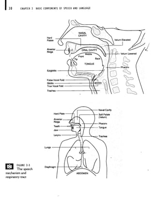 I
CHAPTER 2 BASIC COMPONENTS OF SPEECH AND LANGUAGE
FIGURE 2-3
The speech
mechanism and
respiratory tract
Naval Cavity
Soft Palate
(Velum)
Lungs
Diaphragm
 