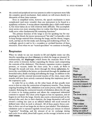 THE SPEECH MECHANISM
- -
31 I
4 the central and peripheral nervous systems in order to represent more fully
the complete speech mechanism. And, indeed, we will return shortly to a
discussion of these latter systems.
Even in simplified terms, however, the speech mechanism is more
complicated (and more versatile) than any instrument to be found in a
symphony orchestra. It seems almostimpossibleb.at a child could master
it, but most babies do so with relatively little difficulty. This accomplish-
ment seems even more amazing when we realize that these structures ac-
tually serve other fundamental life-sustaining functions.'
The primary function of the lungs is not for speaking but for oxy-
genating the blood; the larynx (pronounced "lair-inks") is basically a valve
to keep foreign material from entering the lungs; and the throat, tongue,
teeth, and lips are for th intake and chewing and swallowing of food. Ac-
cordingly, speech is said to be a secondary or overlaid function of these
structures. Even when we are "scared speechless" we continue to breathe.
Respiration
When we inhale we use our muscles to lift and slightly rotate our ribs,
thereby expanding our chest (thorax), in which the lungs are situated. Si-
multaneously, the diaphragm (which forms the muscular floor of the
chest cavity) is lowered, further expanding the thorax (and compressing
the contents of the abdomen). This thoracic expansion creates a negative
pressure, or vacuum, inside the chest cavity. As a result, air flows in
through the mouth and nose, down through the throat (pharynx), be- Thorax.
tween the vocal folds in the larynx, on downward through the trachea and Chest.
bronchial tubes, finally reaching and inflating the lungs. In addition to the Dia hra m
diaphragm and the external intercostal muscles of the chest many other p g
neet or muscie
muscles will have been actively contracted during this inspiratory part of separating the thorax
the respiratory cycle. rrom tne aoaomen;
In order for us to exhale on the other hand all that actually must contracuon expanos tne
occur is that we relax the contraction of inspiratory muscles. Thus, during thorax for inhalation of
ongoing breathing for life, inhalation is an active process, while exhalation air
is passive. Relaxing the contracted muscles of inhalation allows the rib cage
to return to its resting position and allows the compressed abdominal Pharynx.
contents to expand. Our chest cavity begins to lose its expansion, and air The throat cavity.
begins its exit from the lungs. Gravity also exerts a downward pull on the Trachea
elevated ribs; and, due to their elasticity, the lungs themselves will recoil
The windpipe
toward a resting size (just as an inflated balloon will recoil toward its
deflated state when its neck is released). All of these passive forces corn- Tidal volume.
bine to force out of our lungs the air that we just inhaled. This inhalation- The amount of air
exhalation cycle is repeated regularly several times per minute in relaxed inhaled or exhaled
"vegetative" breathing, and the amount of air we exchange during during one cycle of
each cycle (in an adult, about haIfa quart, on the average) is known as our quiet relaxed breathing.
tidal volume.
 