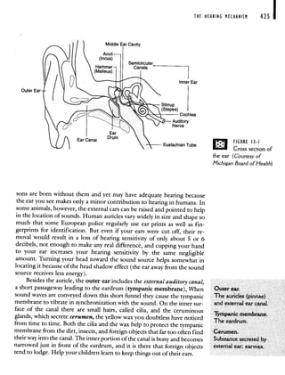 SPEECH CORRECTION van riper.pdf