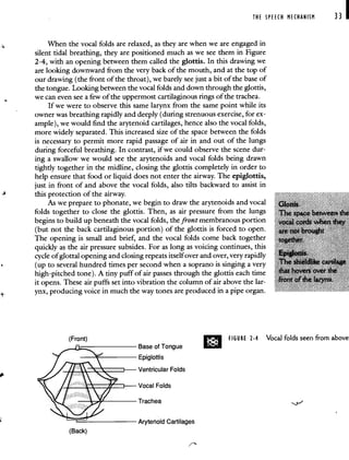 THE SPEECH MECHANISM 33 I
When the vocal folds are relaxed, as they are when we are engaged in
silent tidal breathing, they are positioned much as we see them in Figure
2-4, with an opening between them called the glottis. In this drawing we
are looking downward from the very back of the mouth, and at the top of
our drawing (the front of the throat), we barely see just a bit of the base of
the tongue. Looking between the vocal folds and down through the glottis,
we can even see a few of the uppermost cartilaginous rings of the trachea.
If we were to observe this same larynx from the same point while its
owner was breathing rapidly and deeply (during strenuous exercise, for ex-
ample), we would find the arytenoid cartilages, hence also the vocal folds,
more widely separated. This increased size of the space between the folds
is necessary to permit more rapid passage of air in and out of the lungs
during forceful breathing. In contrast, if we could observe the scene dur-
ing a swallow we would see the arytenoids and vocal folds being drawn
tightly together in the midline, closing the glottis completely in order to
help ensure that food or liquid does not enter the airway. The epiglottis,
just in front of and above the vocal folds, also tilts backward to assist in
this protection of the airway.
As we prepare to phonate, we begin to draw the arytenoids and vocal
folds together to close the glottis. Then, as air pressure from the lungs
begins to build up beneath the vocal folds, the front membranous portion
(but not the back cartilaginous portion) of the glottis is forced to open.
The opening is small and brief, and the vocal folds come back together
quickly as the air pressure subsides. For as long as voicing continues, this
cycle of glottal opening and closing repeats itself over and over, very rapidly
(up to several hundred times per second when a soprano is singing a very
high-pitched tone). A tiny puff of air passes through the glottis each time
it opens. These air puffs set into vibration the column of air above the lar-
ynx, producing voice in much the way tones are produced in a pipe organ.
;
(Back)
FIGURE 2-4 Vocal folds seen from above
(Front)
Base of Tongue
Epiglottis
Ventricular Folds
Vocal Folds
 