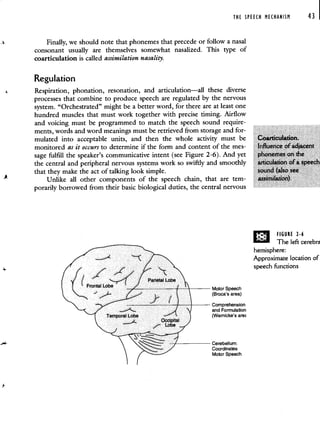 THE SPEECH MECHANISM
Finally, we should note that phonemes that precede or follow a nasal
consonant usually are themselves somewhat nasalized. This type of
coarticulation is called assimilation nasality.
Regulation
43
Respiration, phonation, resonation, and articulation—all these diverse
processes that combine to produce speech are regulated by the nervous
system. "Orchestrated" might be a better word, for there are at least one
hundred muscles that must work together with precise timing. Airflow
and voicing must be programmed to match the speech sound require-
ments, words and word meanings must be retrieved from storage and for-
mulated into acceptable units, and then the whole activity must be
monitored as it occurs to determine if the form and content of the mes-
sage fulfill the speaker's communicative intent (see Figure 2-6). And yet
the central and peripheral nervous systems work so swiftly and smoothly
that they make the act of talking look simple.
Unlike all other components of the speech chain, that are tem-
porarily borrowed from their basic biological duties, the central nervous
Coarticulation.
Influence of adjacent
phonemes on the
articulation of a speech
sound (also see
assimilation).
FIGURE 2-6
The left cerebr2
hemisphere:
Approximate location of
speech functions
 