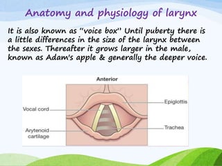 Anatomy and physiology of larynx
It is also known as “voice box” Until puberty there is
a little differences in the size of the larynx between
the sexes. Thereafter it grows larger in the male,
known as Adam's apple & generally the deeper voice.
 