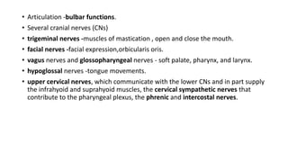 • Articulation -bulbar functions.
• Several cranial nerves (CNs)
• trigeminal nerves -muscles of mastication , open and close the mouth.
• facial nerves -facial expression,orbicularis oris.
• vagus nerves and glossopharyngeal nerves - soft palate, pharynx, and larynx.
• hypoglossal nerves -tongue movements.
• upper cervical nerves, which communicate with the lower CNs and in part supply
the infrahyoid and suprahyoid muscles, the cervical sympathetic nerves that
contribute to the pharyngeal plexus, the phrenic and intercostal nerves.
 