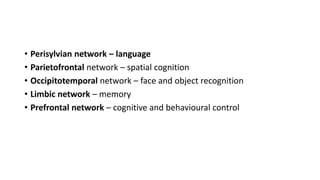 • Perisylvian network – language
• Parietofrontal network – spatial cognition
• Occipitotemporal network – face and object recognition
• Limbic network – memory
• Prefrontal network – cognitive and behavioural control
 