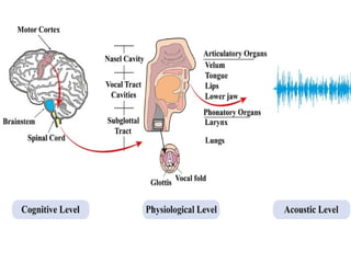 Speech Disorders aphasia and brain lesions | PPTX