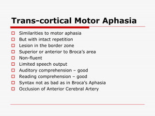 Trans-cortical Motor AphasiaSimilarities to motor aphasiaBut with intact repetitionLesion in the border zoneSuperior or anterior to Broca’s areaNon-fluentLimited speech outputAuditory comprehension – goodReading comprehension – goodSyntax not as bad as in Broca’s AphasiaOcclusion of Anterior Cerebral Artery