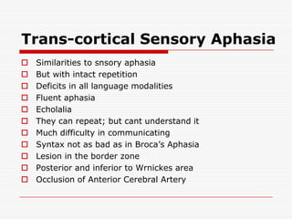 Trans-cortical Sensory AphasiaSimilarities to snsory aphasiaBut with intact repetitionDeficits in all language modalitiesFluent aphasiaEcholaliaThey can repeat; but cant understand itMuch difficulty in communicatingSyntax not as bad as in Broca’s AphasiaLesion in the border zonePosterior and inferior to Wrnickes areaOcclusion of Anterior Cerebral Artery