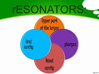 rESONATORS:
           Upper part
          of the larynx

  Oral
                          pharynx
 cavity

              Nasal
             cavity
 
