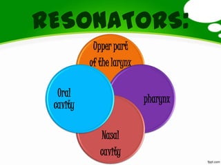 rESONATORS:
Upper part
of the larynx
pharynx
Nasal
cavity
Oral
cavity
 