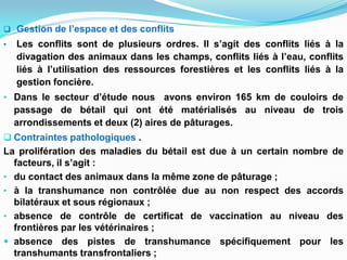  Gestion de l’espace et des conflits
• Les conflits sont de plusieurs ordres. Il s’agit des conflits liés à la
divagation des animaux dans les champs, conflits liés à l’eau, conflits
liés à l’utilisation des ressources forestières et les conflits liés à la
gestion foncière.
• Dans le secteur d’étude nous avons environ 165 km de couloirs de
passage de bétail qui ont été matérialisés au niveau de trois
arrondissements et deux (2) aires de pâturages.
 Contraintes pathologiques .
La prolifération des maladies du bétail est due à un certain nombre de
facteurs, il s’agit :
• du contact des animaux dans la même zone de pâturage ;
• à la transhumance non contrôlée due au non respect des accords
bilatéraux et sous régionaux ;
• absence de contrôle de certificat de vaccination au niveau des
frontières par les vétérinaires ;
 absence des pistes de transhumance spécifiquement pour les
transhumants transfrontaliers ;
 