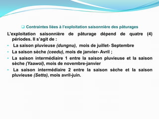 Contraintes liées à l’exploitation saisonnière des pâturages
L’exploitation saisonnière de pâturage dépend de quatre (4)
périodes. Il s’agit de :
• La saison pluvieuse (dungnu), mois de juillet- Septembre
• La saison sèche (ceedu), mois de janvier- Avril ;
• La saison intermédiaire 1 entre la saison pluvieuse et la saison
sèche (Yaawol), mois de novembre-janvier
• La saison intermédiaire 2 entre la saison sèche et la saison
pluvieuse (Setto), mois avril-juin.
 