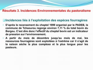 Incidences liés à l’exploitation des espèces fourragères
• D’après le recensement du cheptel 1999 organisé par le PADEB, la
commune de Tchaourou regorge environ 7,11 % du total bovin du
Borgou. C’est dire donc l’effectif du cheptel bovin est un indicateur
de pression sur l’environnement.
• A partir du mois de décembre jusqu’au mois de mai, les
ressources fourragères sont exploitées à l’extrême car il s’agit de
la saison sèche la plus complexe et la plus longue pour les
pasteurs.
Résultats 3. Incidences Environnementales du pastoralisme
 