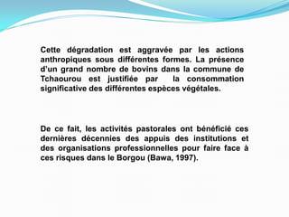 De ce fait, les activités pastorales ont bénéficié ces
dernières décennies des appuis des institutions et
des organisations professionnelles pour faire face à
ces risques dans le Borgou (Bawa, 1997).
Cette dégradation est aggravée par les actions
anthropiques sous différentes formes. La présence
d’un grand nombre de bovins dans la commune de
Tchaourou est justifiée par la consommation
significative des différentes espèces végétales.
 