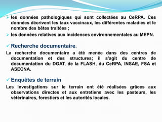  les données pathologiques qui sont collectées au CeRPA. Ces
données décrivent les taux vaccinaux, les différentes maladies et le
nombre des bêtes traitées ;
 les données relatives aux incidences environnementales au MEPN.
 Recherche documentaire.
La recherche documentaire a été menée dans des centres de
documentation et des structures; il s’agit du centre de
documentation du DGAT, de la FLASH, du CeRPA, INSAE, FSA et
ASECNA.
 Enquêtes de terrain
Les investigations sur le terrain ont été réalisées grâces aux
observations directes et aux entretiens avec les pasteurs, les
vétérinaires, forestiers et les autorités locales.
 
