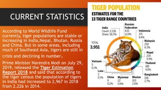 Tiger Project Statistics Speech on tiger day | PPTX