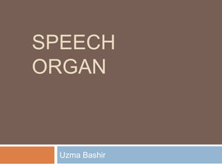SPEECH
ORGAN
Uzma Bashir
 