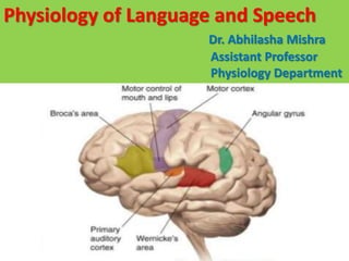 Physiology of Language and Speech
Dr. Abhilasha Mishra
Assistant Professor
Physiology Department
 