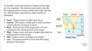 Tongue Rounding SPEECH PRODUCTION Introduction to anatomy and physiology of speech ...