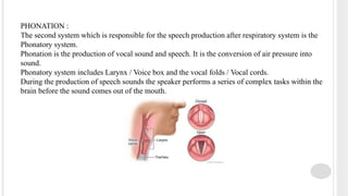SPEECH PRODUCTION Introduction to anatomy and physiology of speech ...