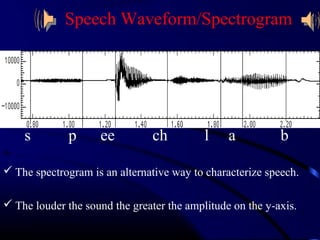 Speech Waveform/Spectrogram 
s p ee ch l a b 
Hz 
 The spectrogram is an alternative way to characterize speech. 
 The louder the sound the greater the amplitude on the y-axis. 
s 
 
