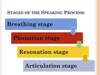 STAGES OF THE SPEAKING PROCESS:
Breathing stage
Phonation stage
Resonation stage
Articulation stage
 