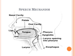 SPEECH MECHANISM
 