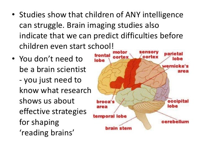 Speech Sound Pics SSP 4 Or 6 Hour Teacher TA Learning Support P 