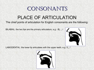 CONSONANTS PLACE OF ARTICULATION The chief points of articulation for English consonants are the following: BILABIAL: the two lips are the primary articulators, e.g.: /  ,  ,  / LABIODENTAL: the lower lip articulates with the upper teeth, e.g. /  ,  / 
