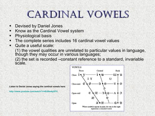 CARDINAL VOWELS Devised by Daniel Jones Know as the Cardinal Vowel system Physiological basis The complete series includes 16 cardinal vowel values Quite a useful scale:  (1) the vowel qualities are unrelated to particular values in language, though they may occur in various languages;  (2) the set is recorded –constant reference to a standard, invariable scale. Listen to Daniel Jones saying the cardinal vowels here: http ://www.youtube.com/watch?v=6UIAe4p2I74 