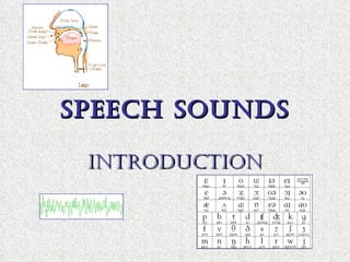 SPEECH SOUNDS INTRODUCTION 