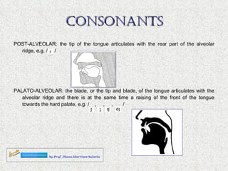CONSONANTS POST-ALVEOLAR: the tip of the tongue articulates with the rear part of the alveolar ridge, e.g. /  / PALATO-ALVEOLAR: the blade, or the tip and blade, of the tongue articulates with the alveolar ridge and there is at the same time a raising of the front of the tongue towards the hard palate, e.g. /  ,  ,  ,  / 