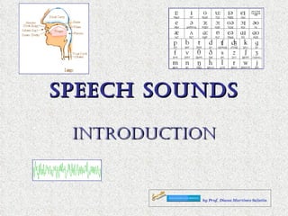 SPEECH SOUNDS INTRODUCTION 