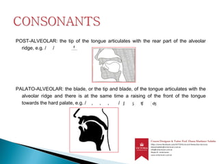POST-ALVEOLAR: the tip of the tongue articulates with the rear part of the alveolar
ridge, e.g. / /
PALATO-ALVEOLAR: the blade, or the tip and blade, of the tongue articulates with the
alveolar ridge and there is at the same time a raising of the front of the tongue
towards the hard palate, e.g. / , , , /
 