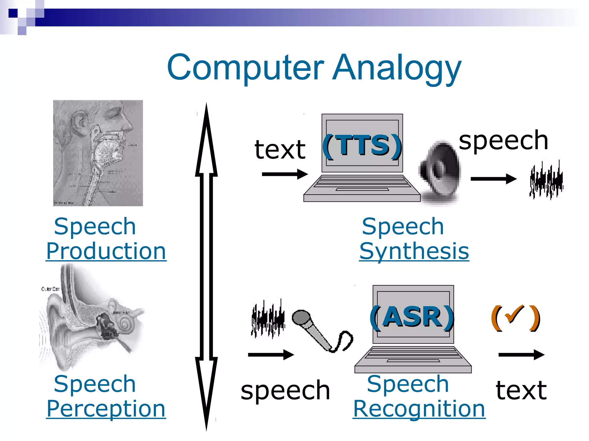 Computer Analogy

             text (TTS)        speech


 Speech               Speech
Production            Synthesis

                       (ASR)      ( )

 Speech      speech    Speech     text
Perception            Recognition
 