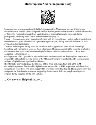 Mucormycosis And Pathogenesis Essay
Mucormycosis is an emergent and lethal infection caused by Mucoralean species. Using Mucor
circinelloides as a model of mucormycosis to identify new genetic determinants of virulence is the aim
of this work. First strategy parts from identification of genes differentially expressed during
pathogenesis, choosing zebra fish as an infection model (Fig. 1).
Figure 1. Transcriptomic analysis during infection with M. circinelloides virulent and avirulent strains
revealed several genes either induced (green) or repressed (red) during zebrafish infection, in both
avirulent and virulent strains.
The most induced gene during infection encodes a multicopper ferroxidase, which shares high
homology with Fet3 protein sequence from other fungi. This gene, named fet3a, could be involved in
the reductive iron uptake mechanism during infection as a virulence determinant. ... Show more
content on Helpwriting.net ...
(A) Expression of fet3 genes in M. circinelloides in low iron conditions. Iron depleted media were
obtained by adding Fetal Bovine Serum or 1,10 Phenanthroline to control media. (B) Densitometric
analysis of hybridization signals showed in (A).
Bioinformatic analysis revealed the presence of two fet3a homologs, fet3b and fet3c, in M.
circinelloides genome. Northern blot hybridization validated fet3a RNA seq results, and showed an
upregulation of the three fet3 genes triggered by low iron availability (Fig. 3). These results imply that
fet3 genes are functionally redundant, suggesting that fet3b and fet3c are complementing fet3a
deletion during infection on the host Galleria
... Get more on HelpWriting.net ...
 
