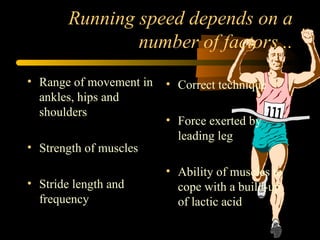 Running speed depends on a number of factors... Range of movement in ankles, hips and shoulders Strength of muscles Stride length and frequency Correct technique Force exerted by leading leg Ability of muscles to cope with a build-up of lactic acid