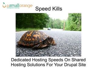 Speed Kills Dedicated Hosting Speeds On Shared Hosting Solutions For Your Drupal Site