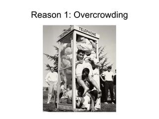 Apache's mod_deflate