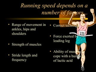 Running speed depends on a
number of factors...
• Range of movement in
ankles, hips and
shoulders
• Strength of muscles
• Stride length and
frequency

• Correct technique
• Force exerted by
leading leg
• Ability of muscles to
cope with a build-up
of lactic acid

 
