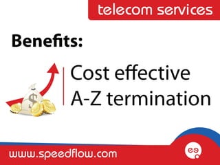 telecom services
Benefits:
         Cost effective
         A-Z termination

www.speedflow.com
 