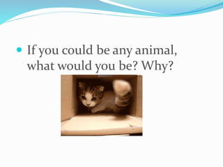  If you could be any animal,
what would you be? Why?
 