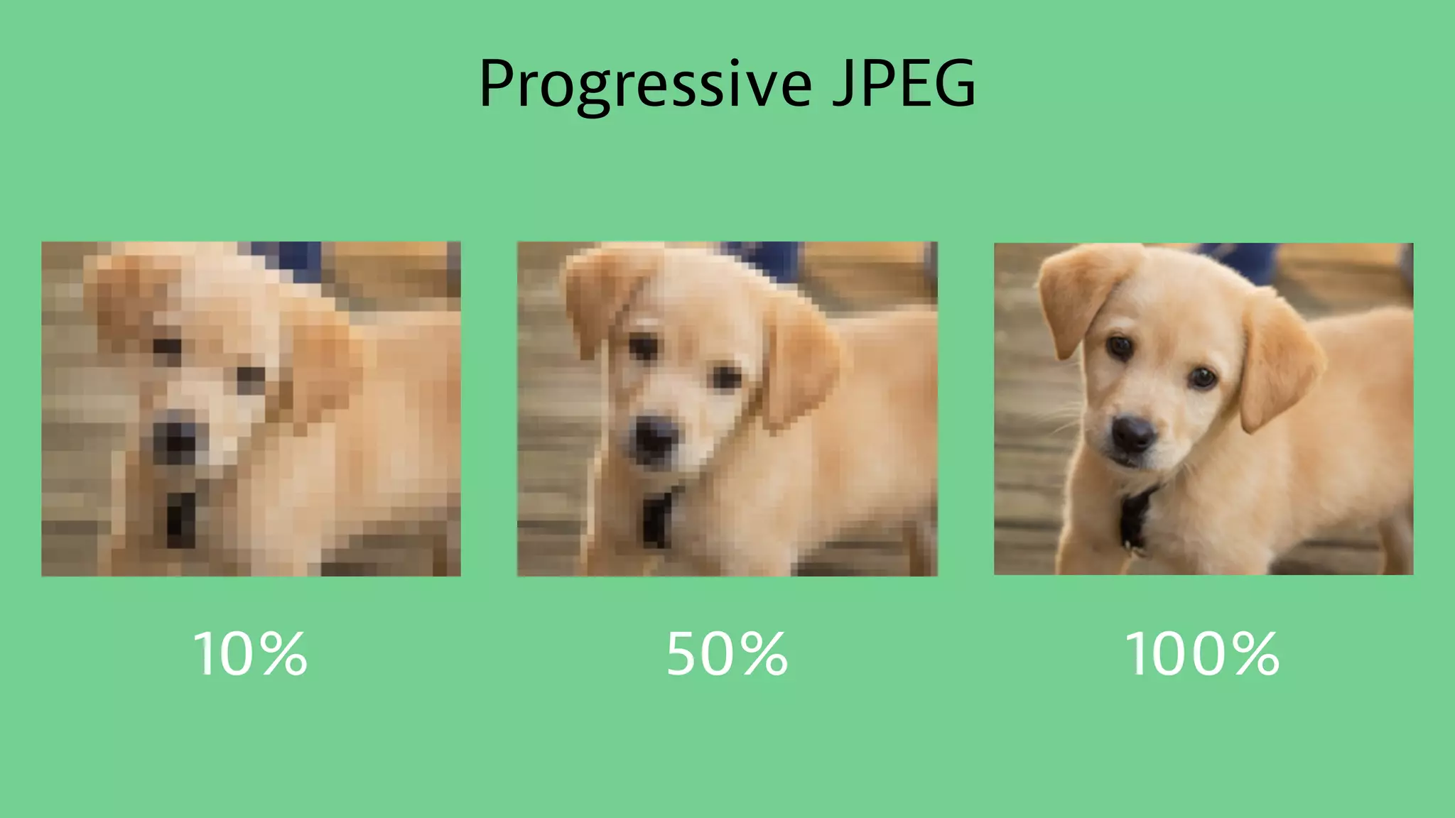 Progressive JPEG
10% 50% 100%
 