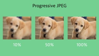 Progressive JPEG
10% 50% 100%
 