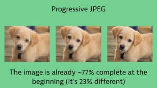 Progressive JPEG
The image is already ~77% complete at the
beginning (it’s 23% different)
 