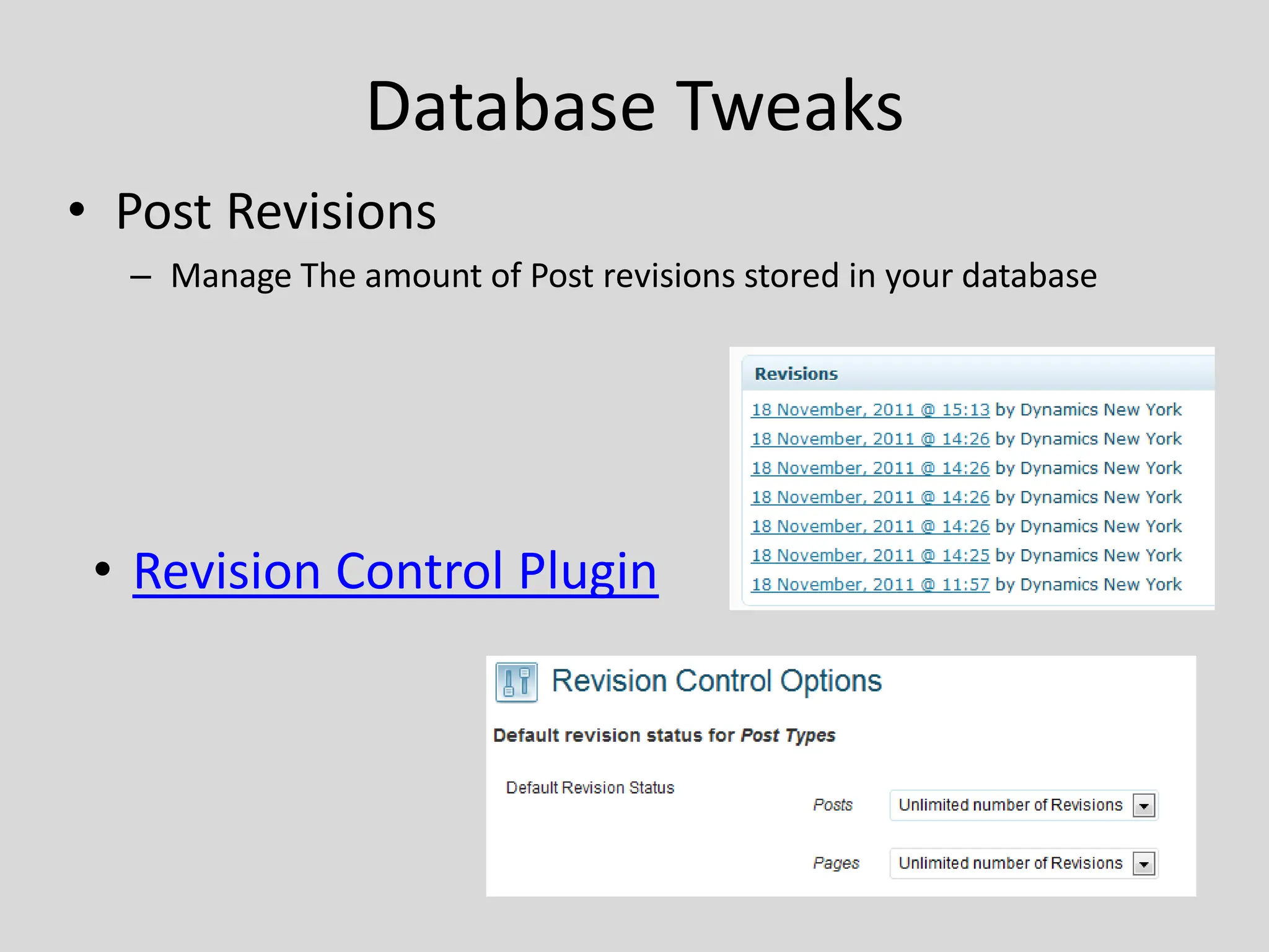 Database Tweaks
• Post Revisions
  – Manage The amount of Post revisions stored in your database




 • Revision Control Plugin
 