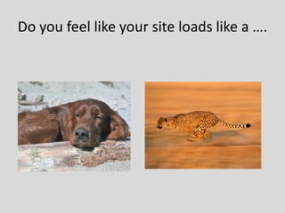 Do you feel like your site loads like a ….
 