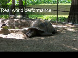 Real world performance
 