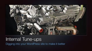 Internal Tune-ups
Digging into your WordPress site to make it better
 